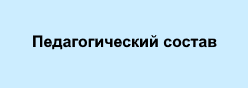 Педагогический состав