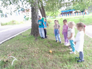 Грибное приключение в детском саду!
