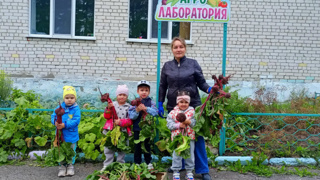 Сбор урожая на опытном участке детского сада