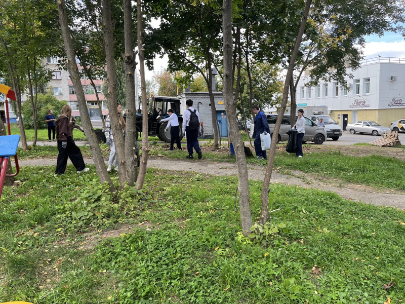 Наводим порядок вместе! 🌿