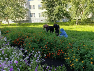 Юные экологи в деле!