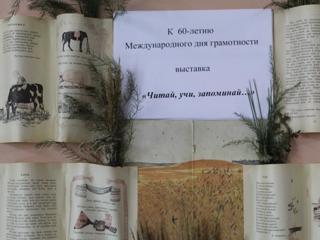 img_7108.jpg