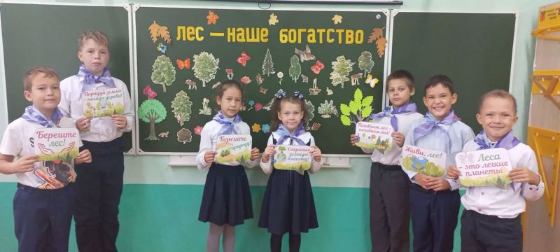 Юные экологи  Новошимкусской школы раскрыли тайны зелёного богатства в рамках проекта «Ярко в Чувашии»