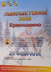 Лыжные гонки 2026