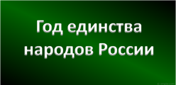 Год единства народов России