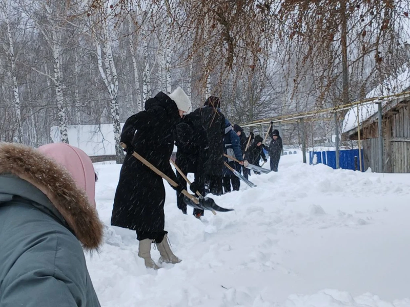 Снежный десант