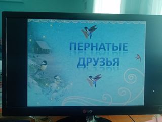 Познавательное занятие "Наши пернатые друзья"