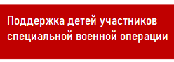 Поддержка детей участников СВО