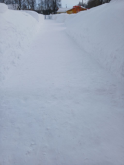 fdd499cc-7e85-4601-a751-1743675b08cb.png