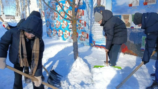 Снежный десант