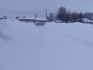 img_20260226_164301_559.jpg