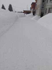 img_20260226_164308_561.jpg
