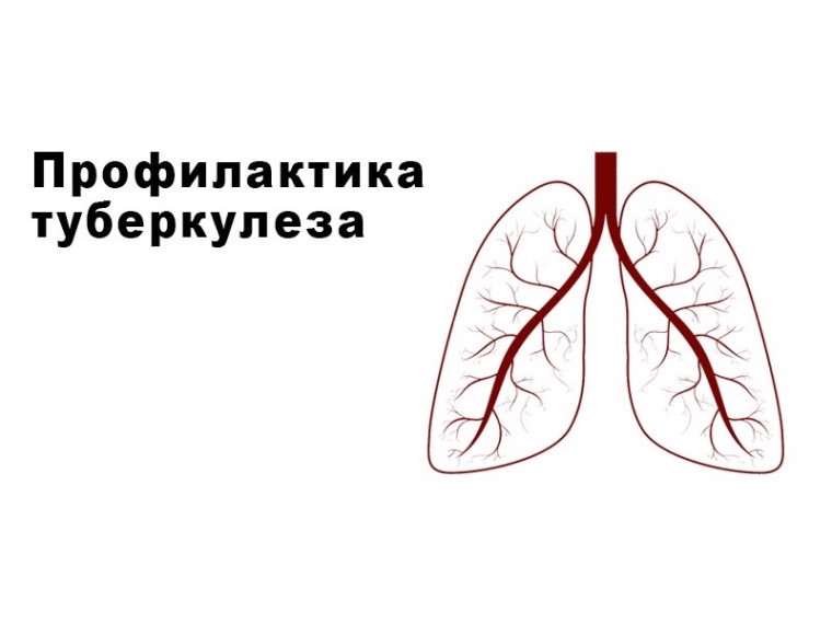 Туберкулез и меры профилактики