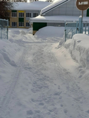 img_20260224_163005_778.jpg